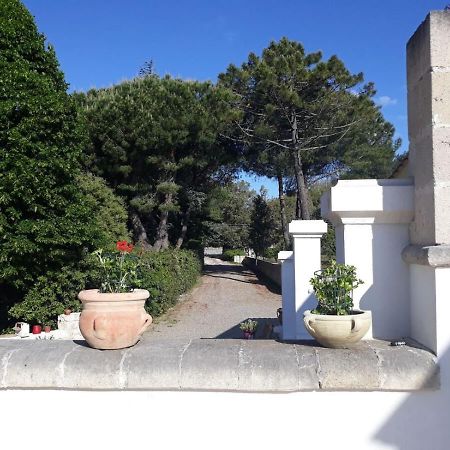B&B Trulli E Mare Martina Franca Bagian luar foto
